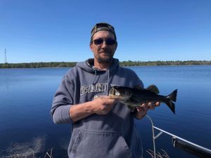 Largemouth Bass Fishing in Florida 2022